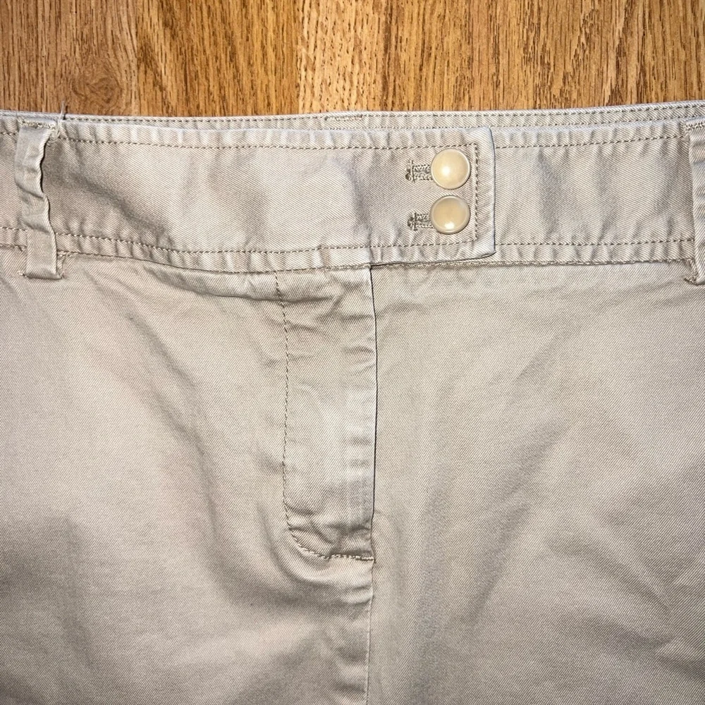 J. Crew Skirt